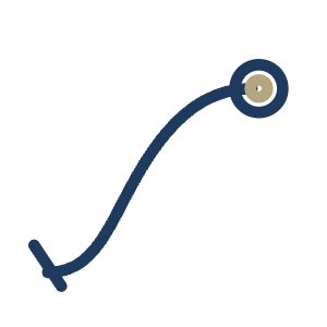 Ícone de cistoscopia flexível