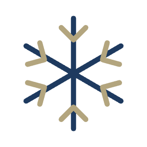 Ícone de crioterapia